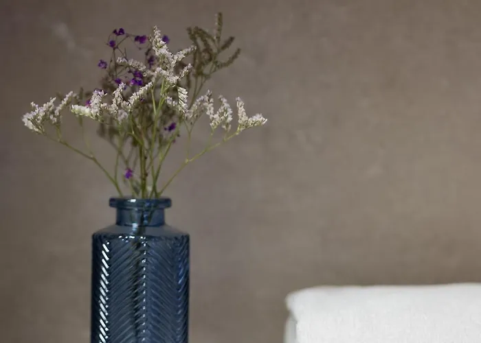 Perfectly Located Exceptional In By Renters